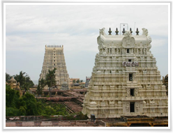 Rameswaram, Tamil Nadu